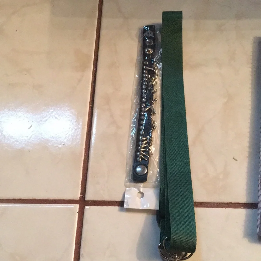 NWT Pet Collar and Leash